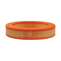 FILTRON AR 227 (A-Hyundai/Kia 2811321000, 5904608002273) AR227