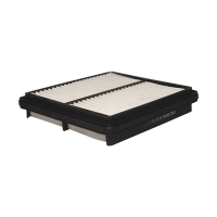 FILTRON AP 082/1 (A-GM 96182220, 5904608010827) AP0821