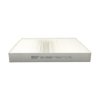 BIG FILTER GB-9989 (VAG 5Q0819644/5Q0819653, MAN 65619100000) GB9989