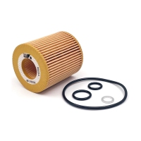 BIG FILTER GB-1451EC (HU8152X, BMW 11427501676, 11427508969) GB1451EC