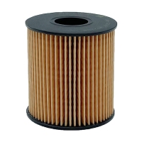 BIG FILTER GB-1219 (OE673, HU71151X, Citroen/Peugeot 1109AH) GB1219