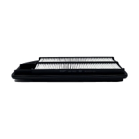 BIG FILTER GB-905 (A879, Honda 17220RAA505) GB905