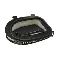 BIG FILTER GB-9461PL (BMW 13717811026) GB9461PL